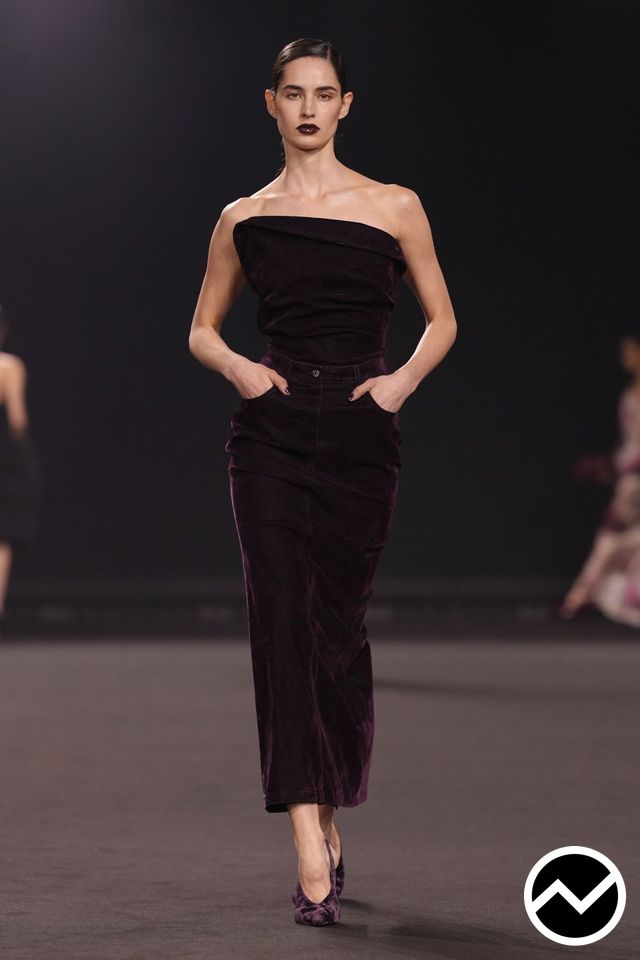 Elie Saab, FW26 womenswear, Velvet, look 41